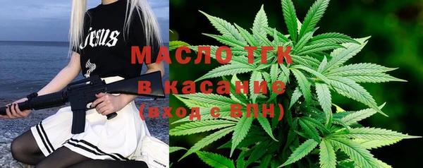 сатива Покачи
