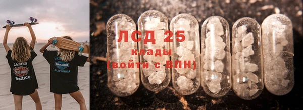 стафф Аркадак